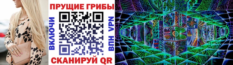 Галлюциногенные грибы GOLDEN TEACHER  darknet телеграм  Похвистнево 