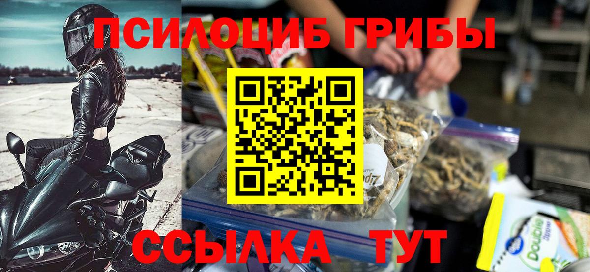 Псилоцибиновые грибы Psilocybine cubensis Похвистнево